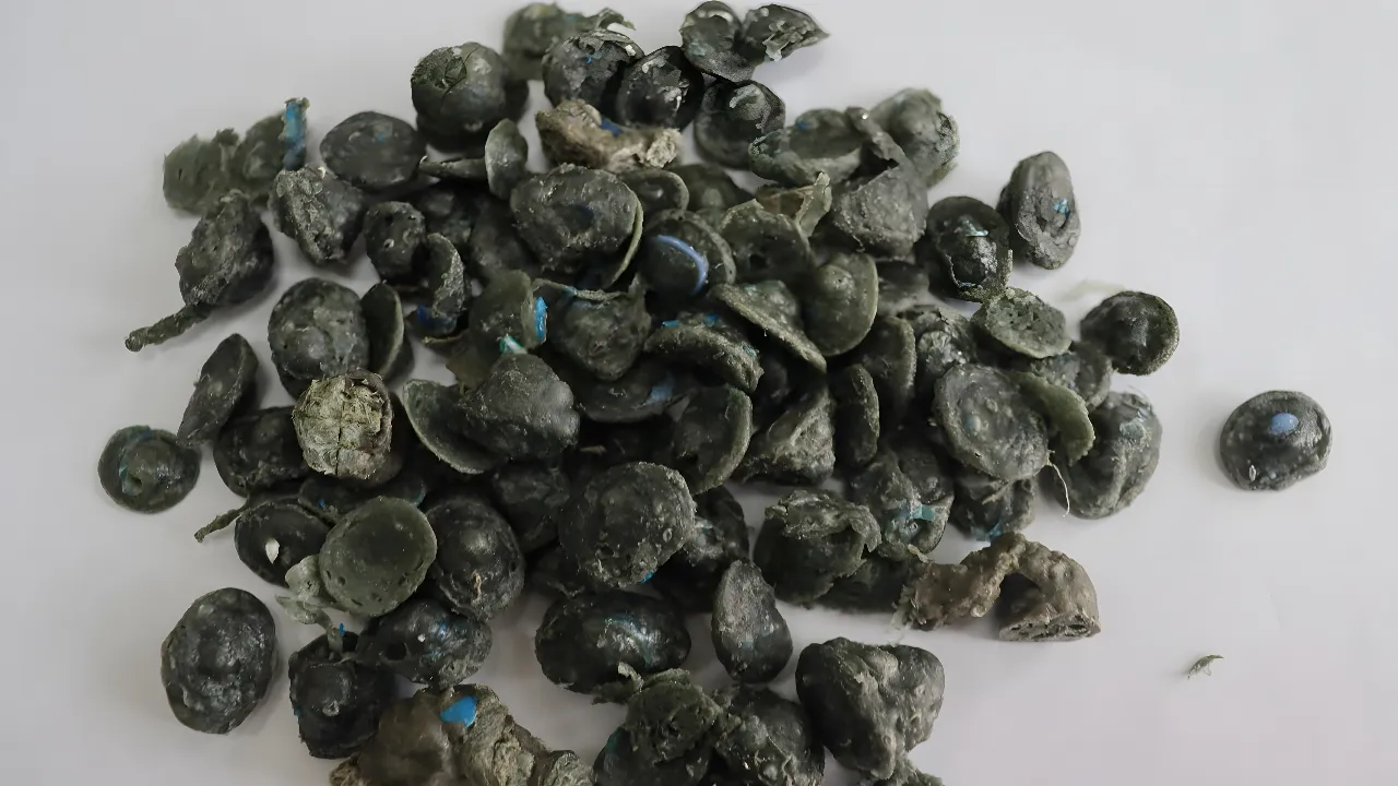 Densified granules after PP PE plastic film squeezer processing
