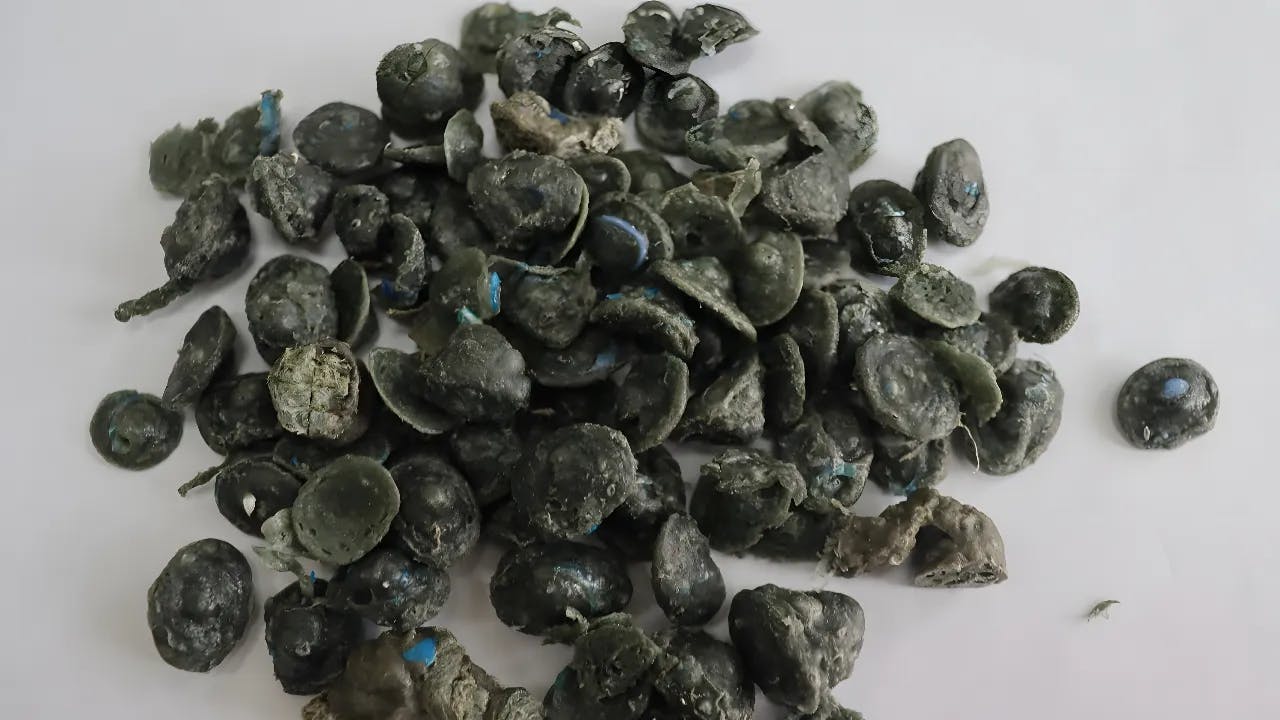 Densified material after film squeezer discharge