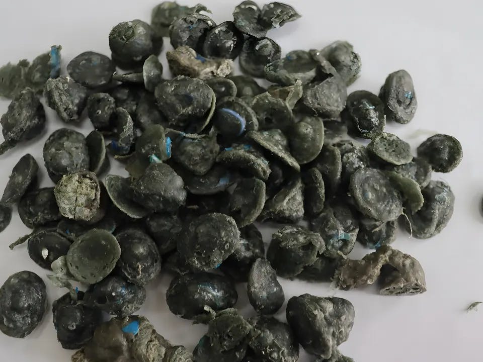 Densified material after film squeezer discharge