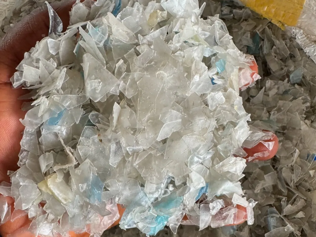 Washed PET bottle flakes after recycling