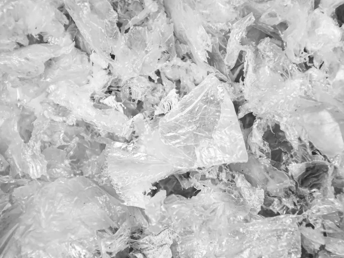 Shredded BOPP film after integrated shredder-crusher processing